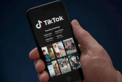 tiktok国内使用在线浏览网页版登录入口教程