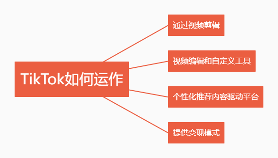 动感网络科技, TikTok到底是什么？值得入场做吗？