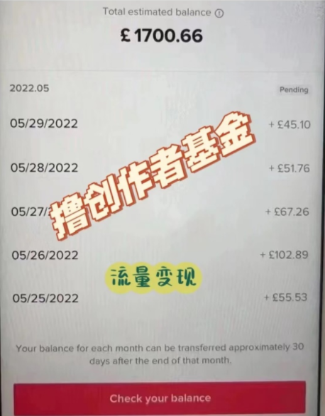 动感网络科技, 现在还能够入场TikTok吗？用自身经验给大家分享变现方式！