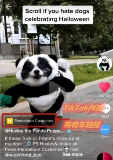 动感网络科技, TikTok如何变现？哪种变现方式适合自己？