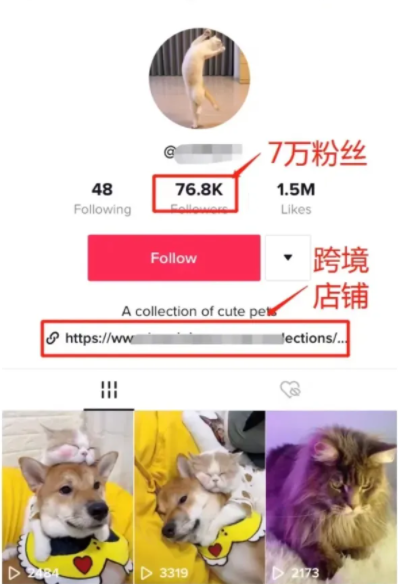 TikTok就是忽悠人的？为什么还有这么多人坚持？