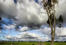 PHP实现增删改查的MySQLi数据库操作类